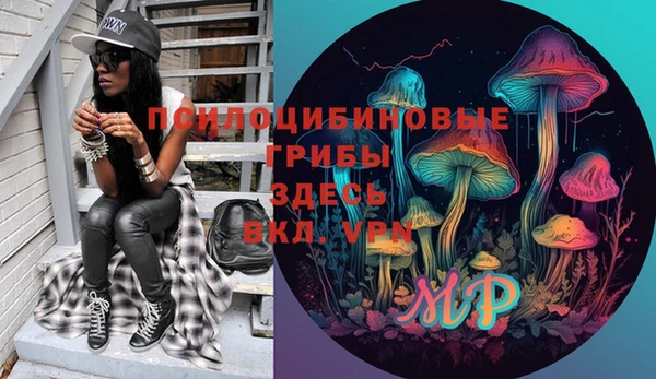 хмурый Верхний Тагил
