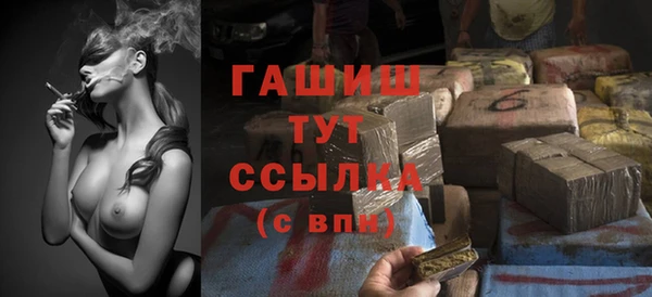 Альфа ПВП Верея