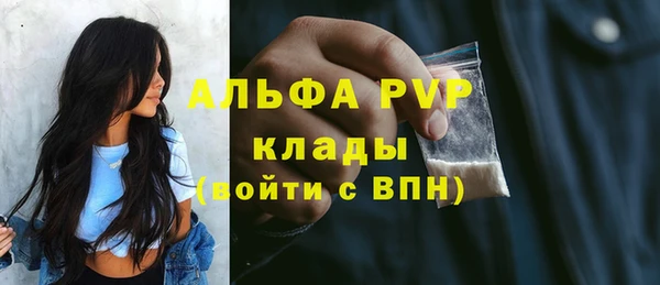 Альфа ПВП Верея