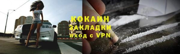 Альфа ПВП Верея