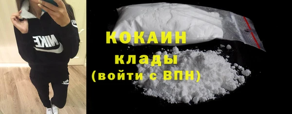 Альфа ПВП Верея
