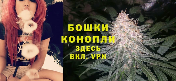 хмурый Верхний Тагил