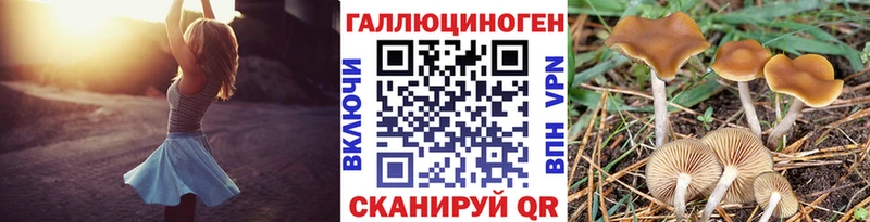 Купить где  Мичуринск  Псилоцибиновые грибы Psilocybine cubensis 
